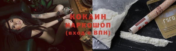 СК Медногорск