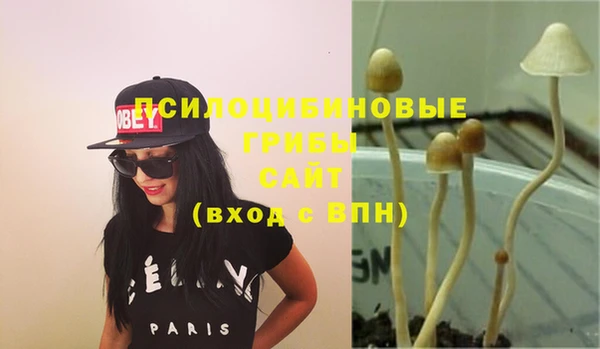мяу мяу кристалл Магас