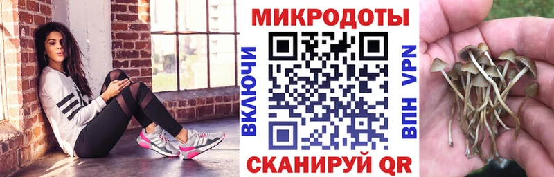 Псилоцибиновые грибы ЛСД Южа